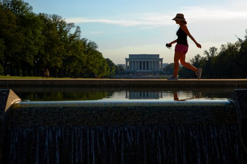 Walk in the Sunshine