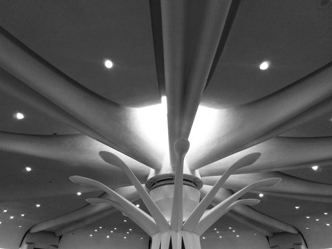 Look Up! Ceiling of Terminal A, DCA