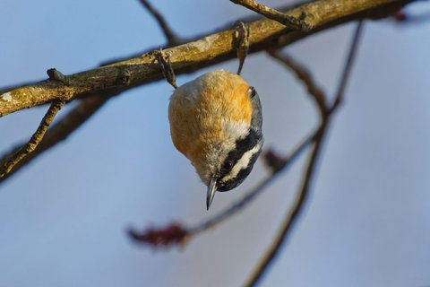 What Are You Lookin' At?