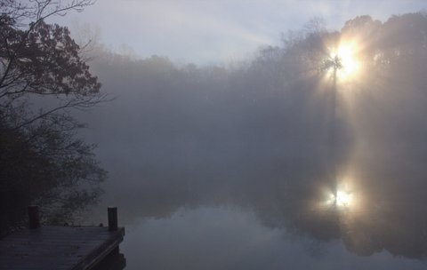 Foggy Sunrise