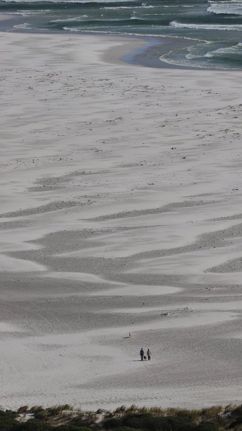 Talking a Walk on Noordhoek Beach