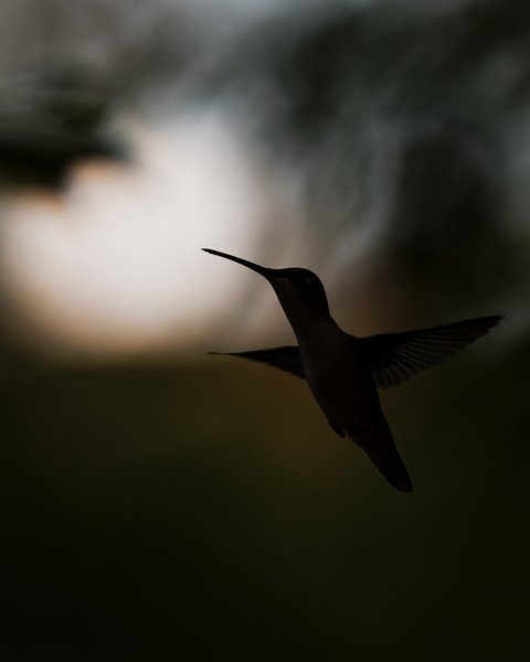 Last Flight of the Day