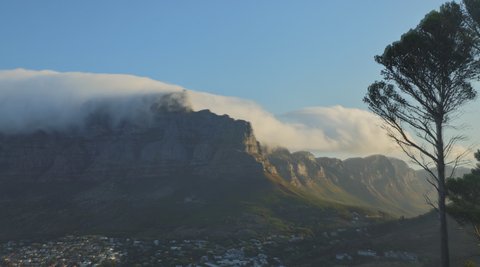 Table Top on a Windy Day