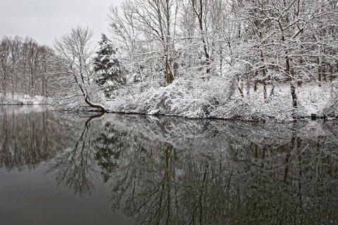 Winter Reflections