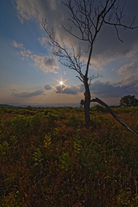 Appalachian Sunset